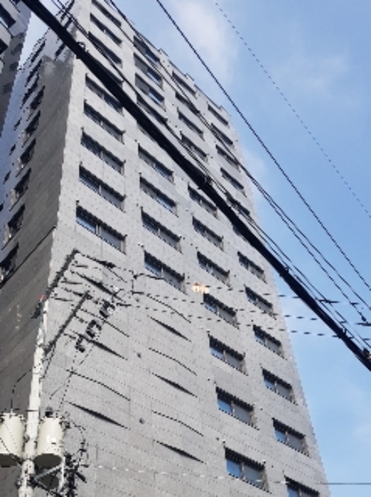 물건 사진 1