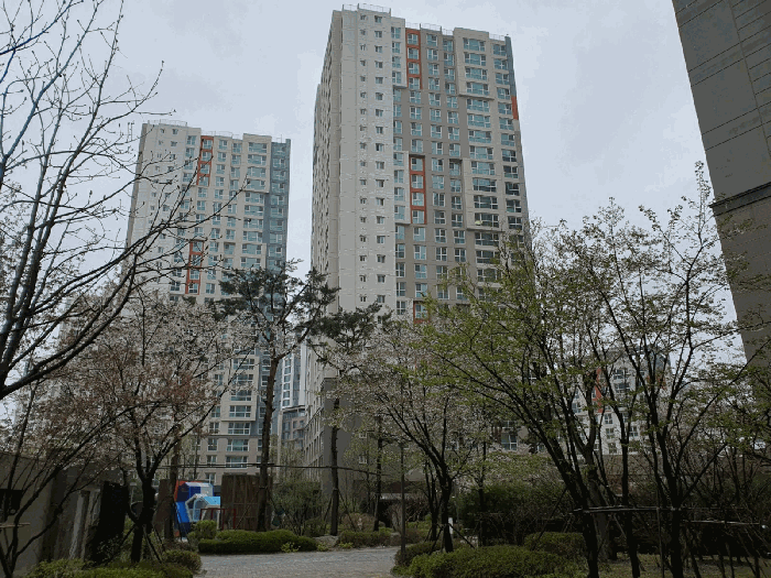 물건 사진 12