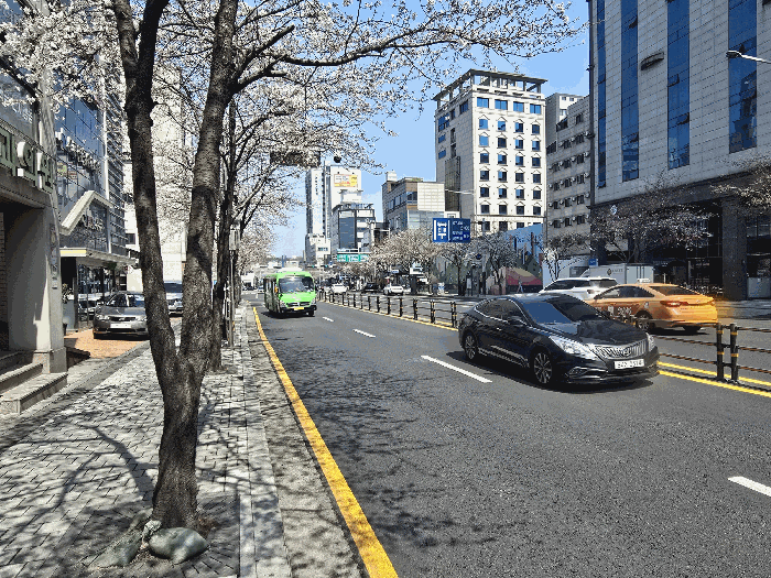 물건 사진 12