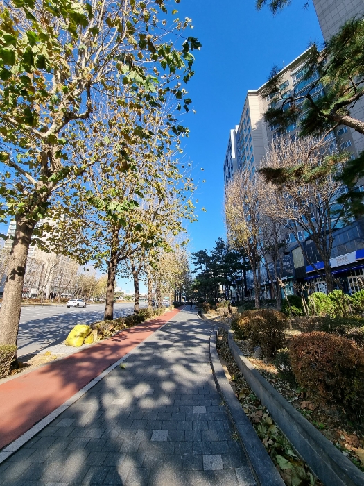 물건 사진 6