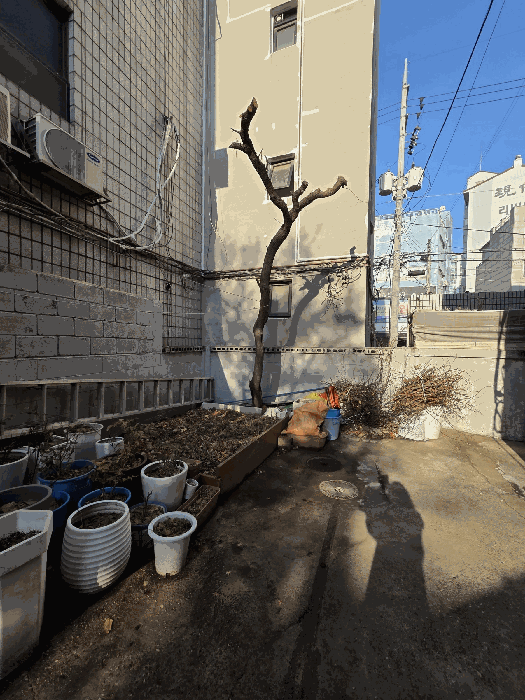 물건 사진 14