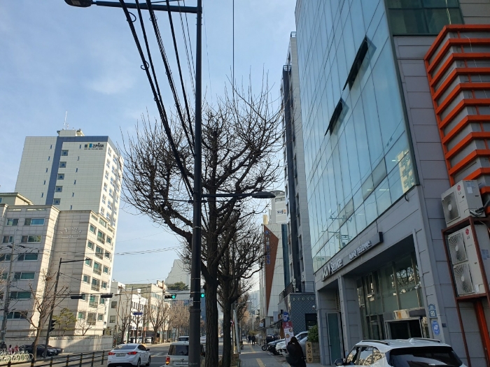 물건 사진 19