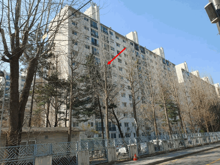 물건 사진 25