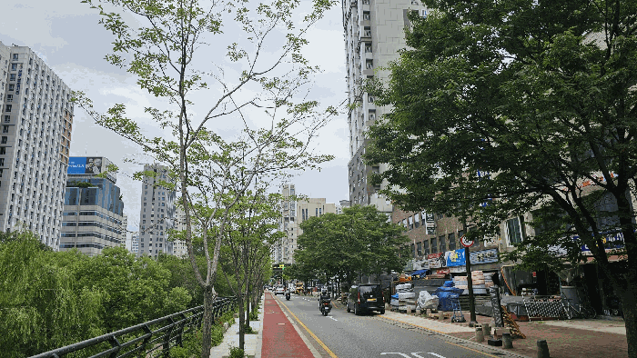 물건 사진 13