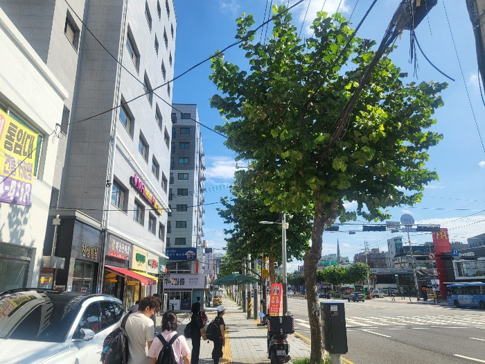 물건 사진 6