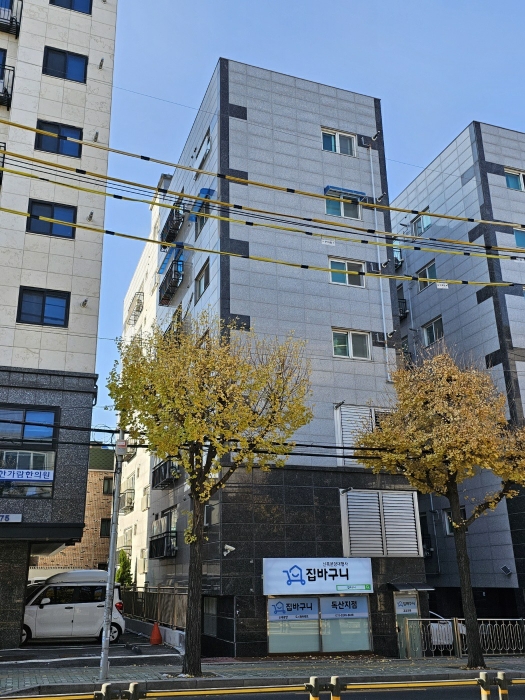 물건 사진 6