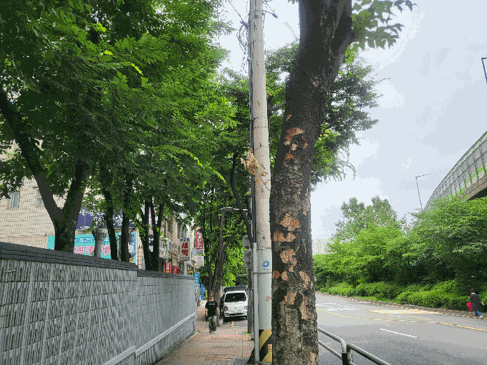 물건 사진 10
