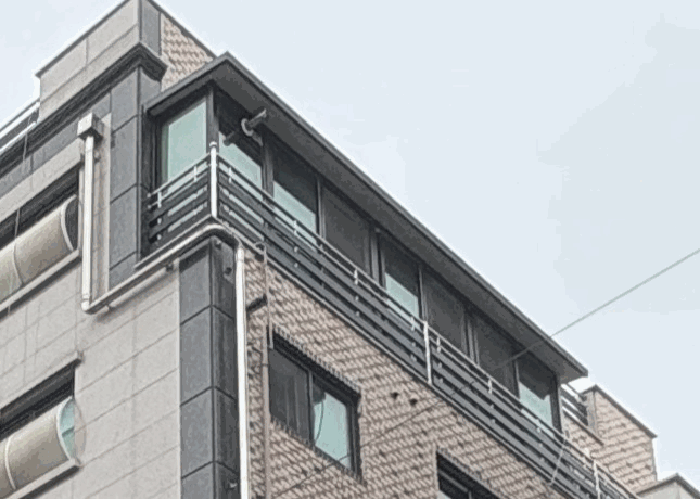 물건 사진 9