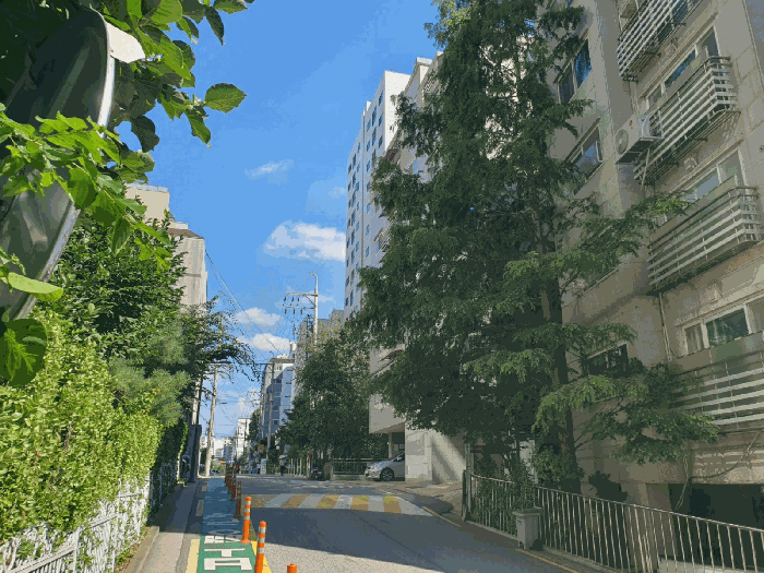 물건 사진 15