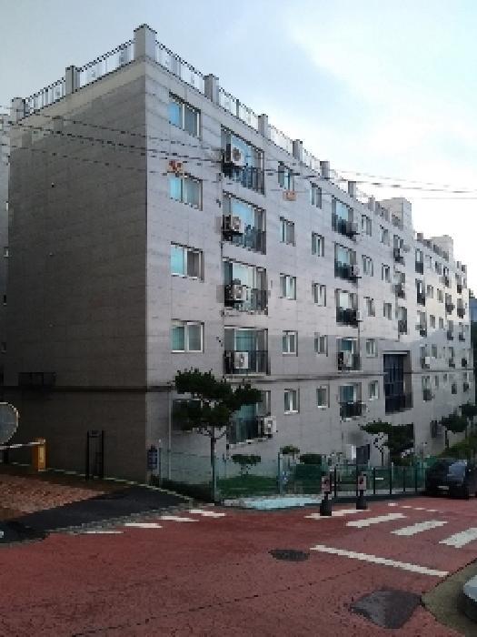 물건 사진 1