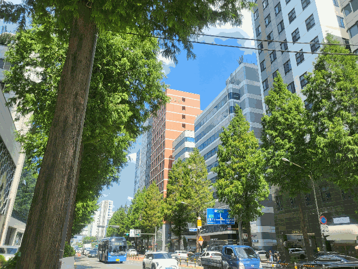 물건 사진 9