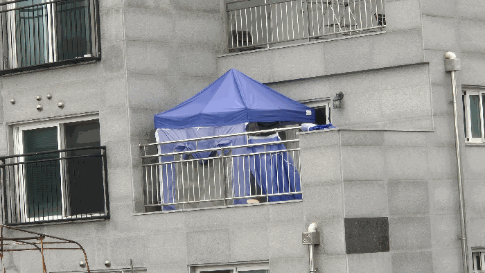 물건 사진 10