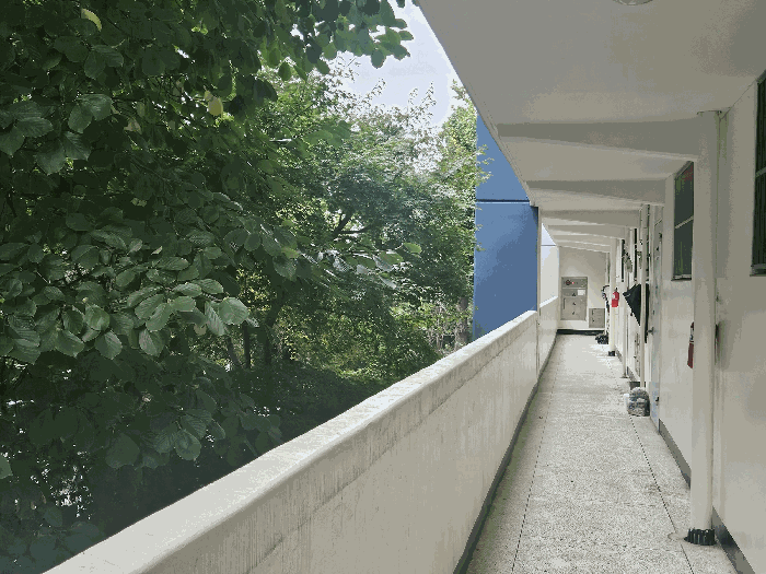 물건 사진 11