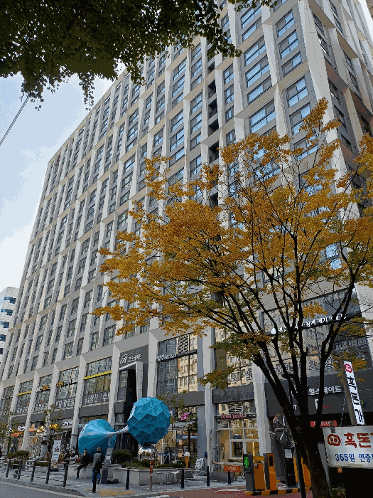 물건 사진 12
