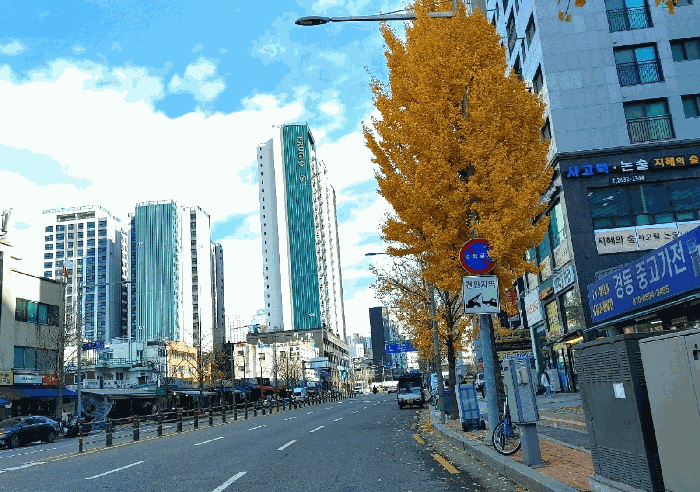 물건 사진 10