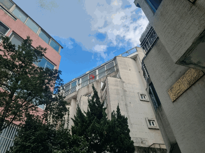 물건 사진 13