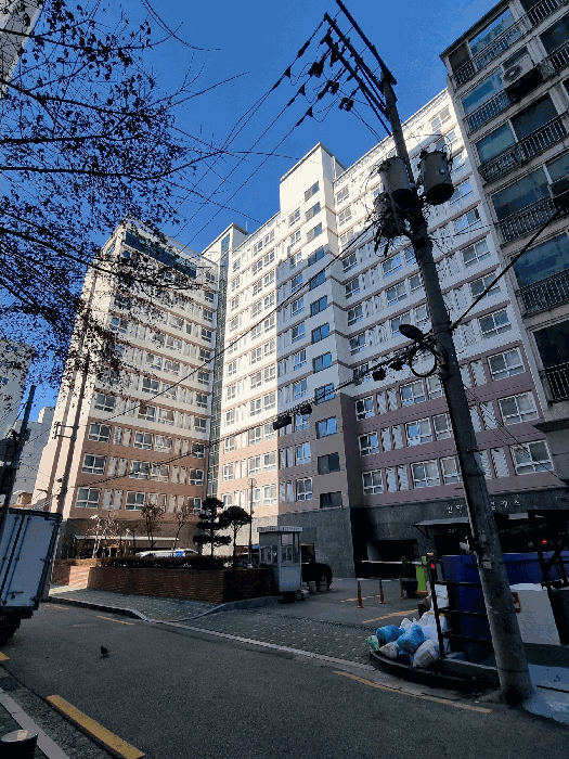 물건 사진 12