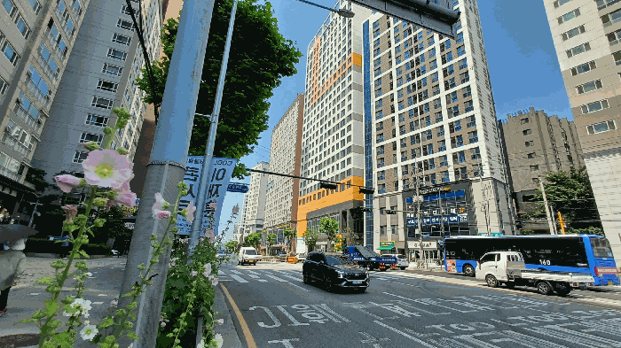물건 사진 30