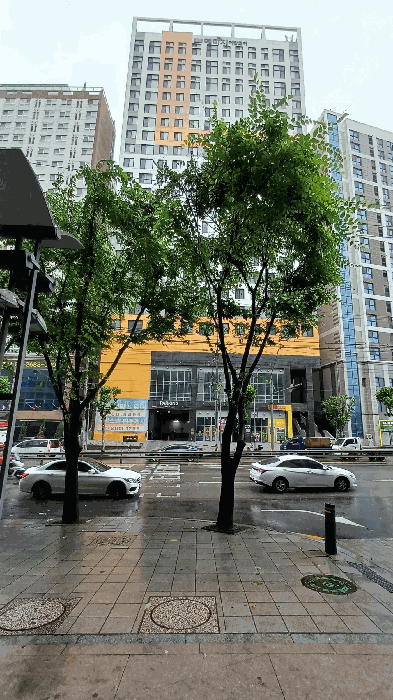 물건 사진 32