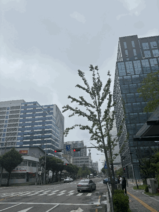 물건 사진 13