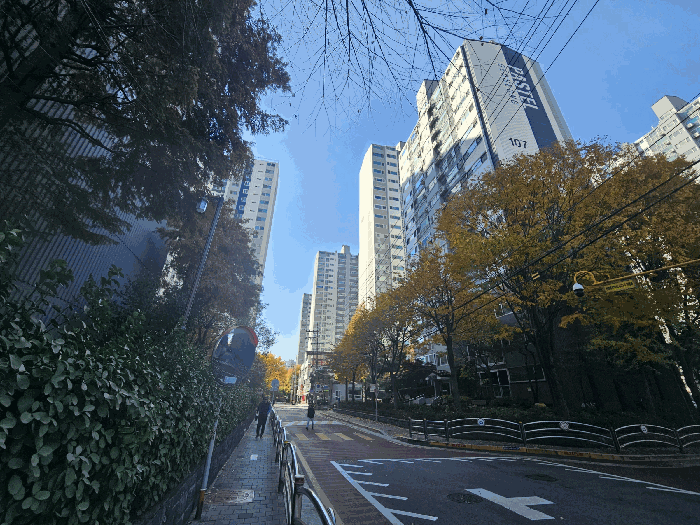 물건 사진 19