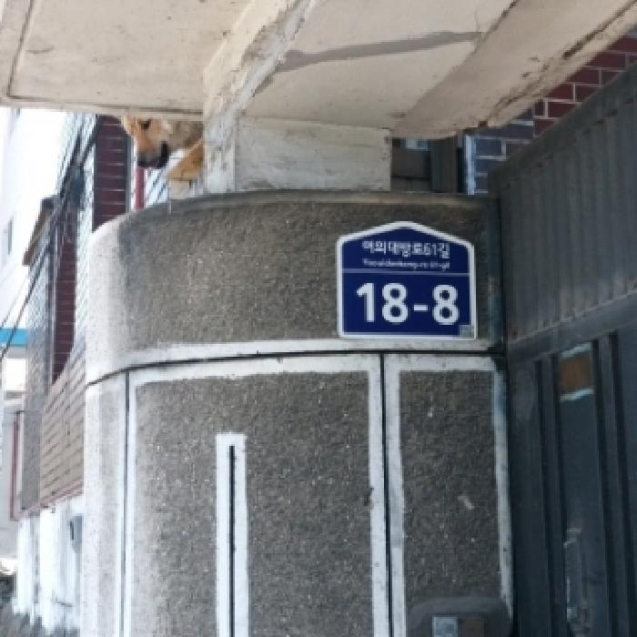 물건 사진 2