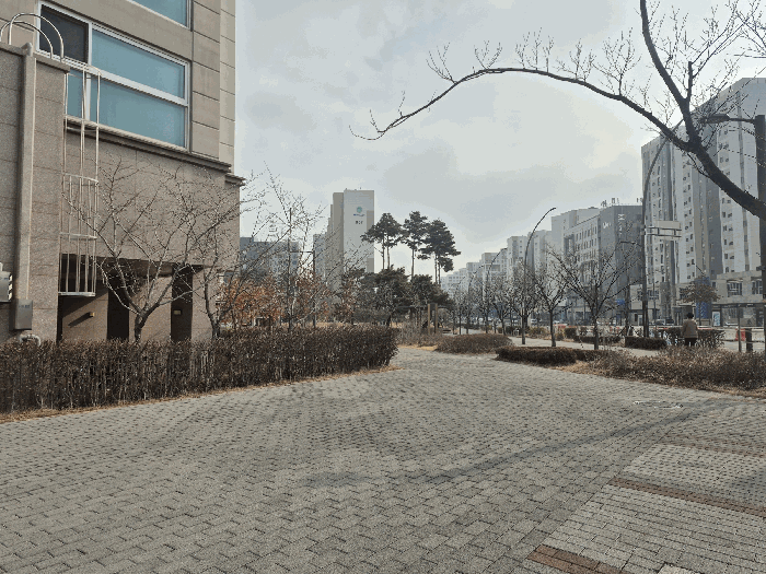 물건 사진 11