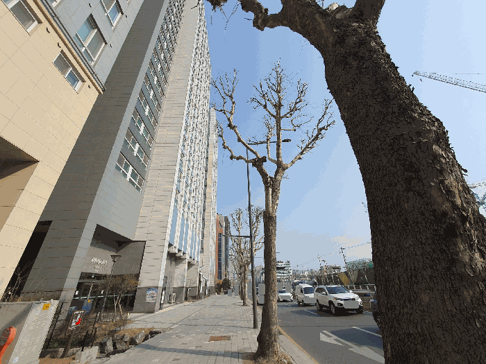 물건 사진 15