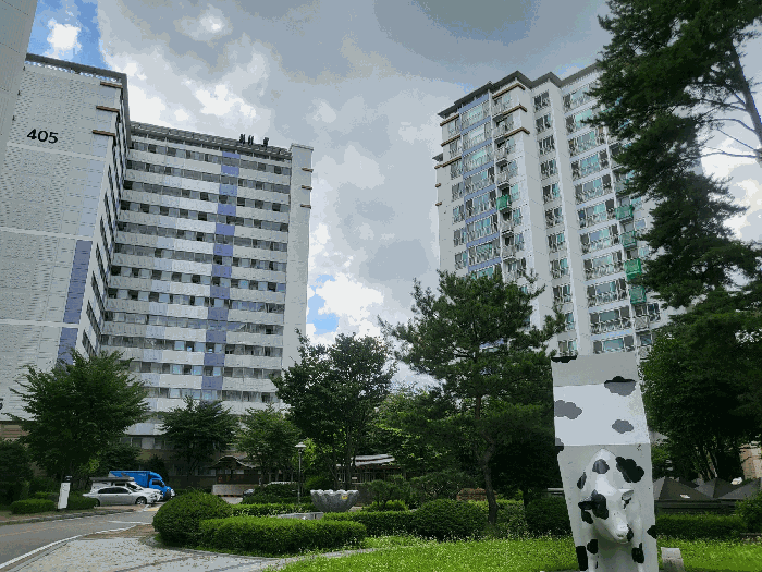 물건 사진 12