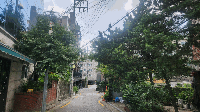 물건 사진 11