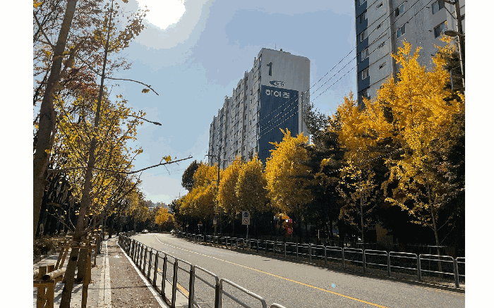 물건 사진 8