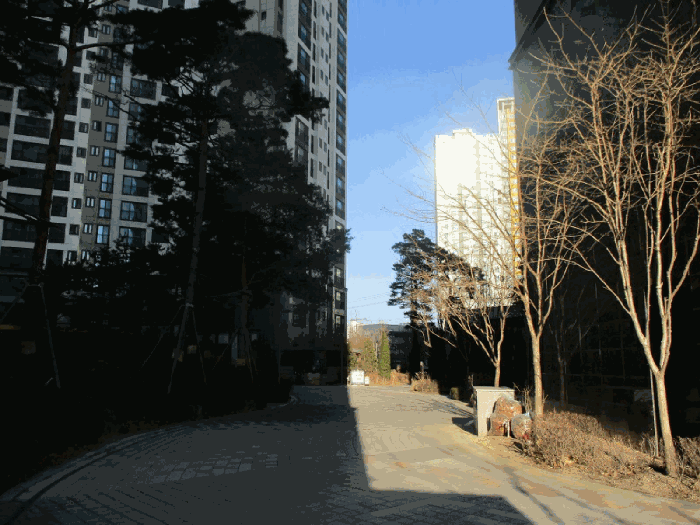 물건 사진 15