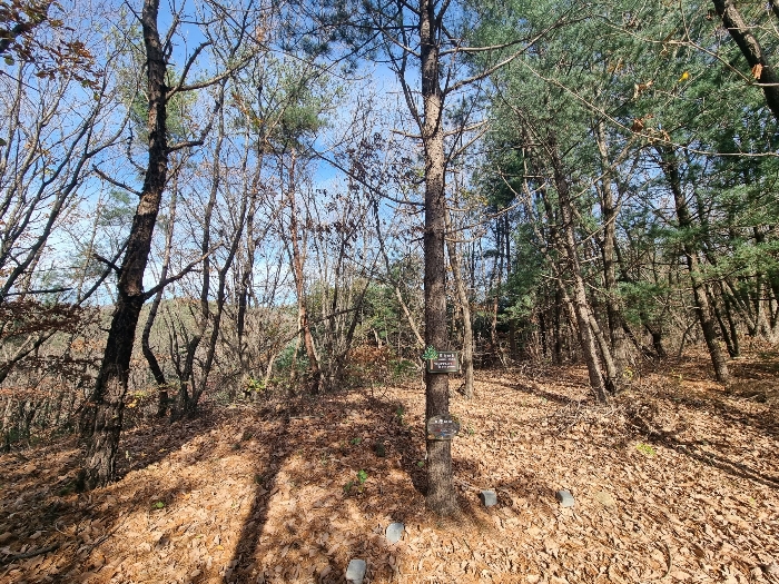 물건 사진 35