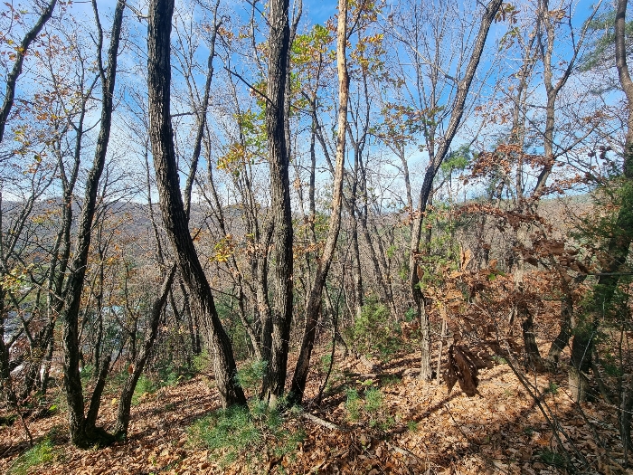 물건 사진 37