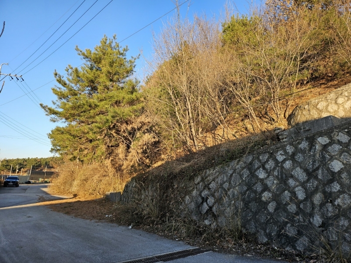 물건 사진 18