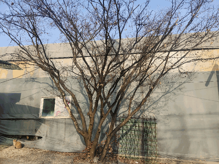 물건 사진 10