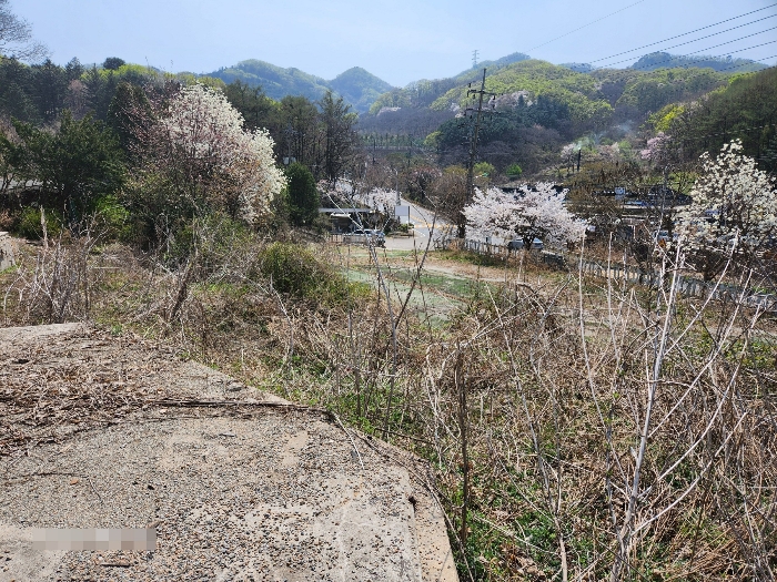 물건 사진 25