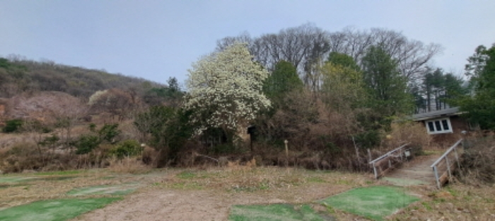 물건 사진 10