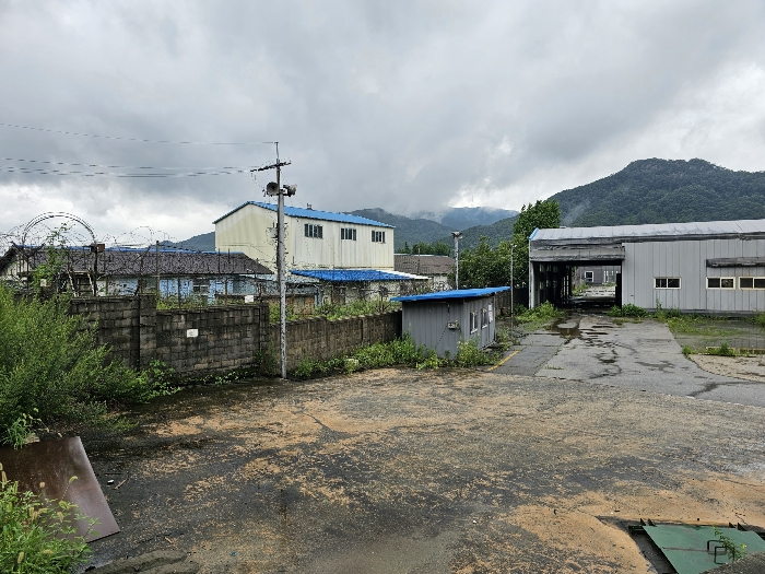 물건 사진 124