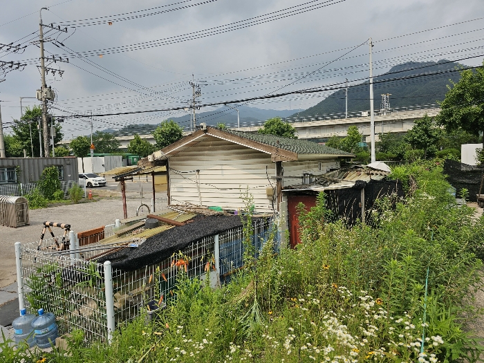 물건 사진 137