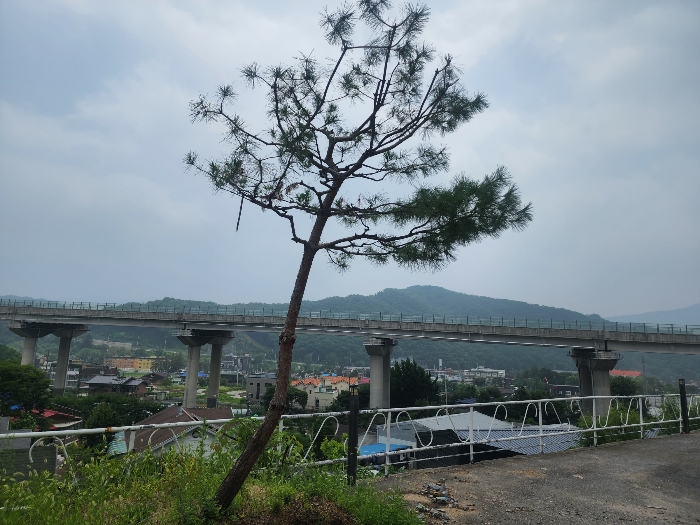 물건 사진 49