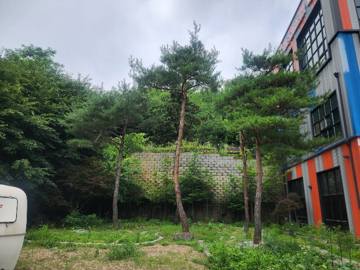 물건 사진 50