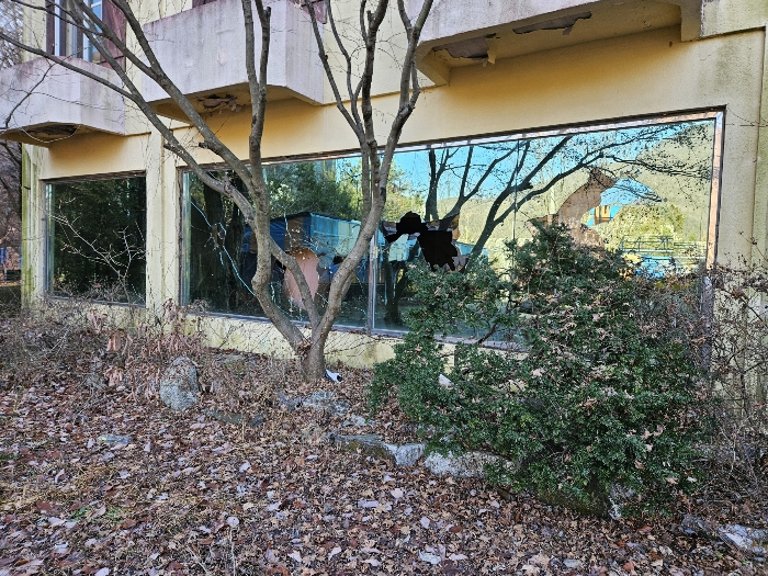 물건 사진 53