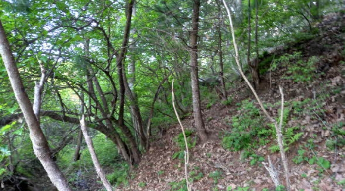 물건 사진 58