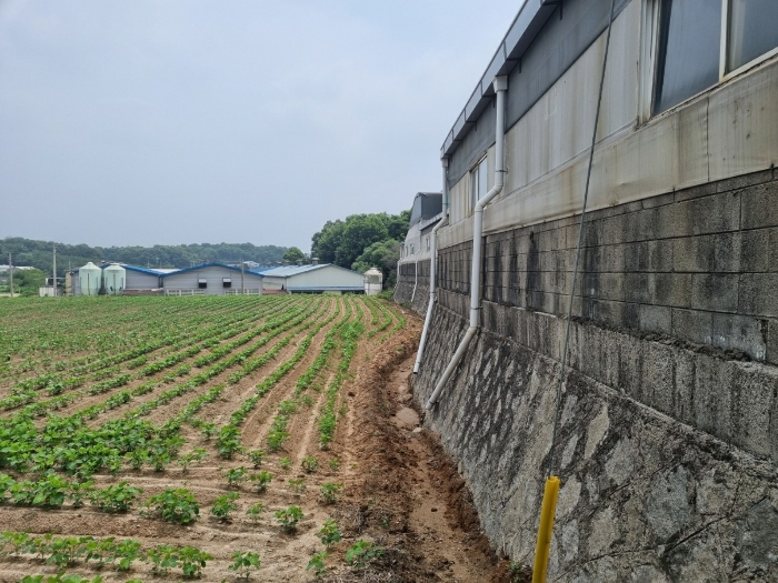 물건 사진 50