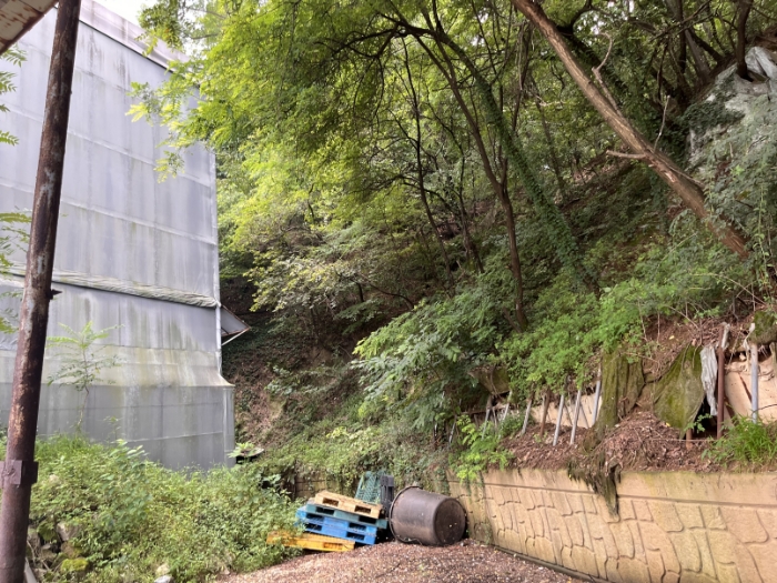 물건 사진 107