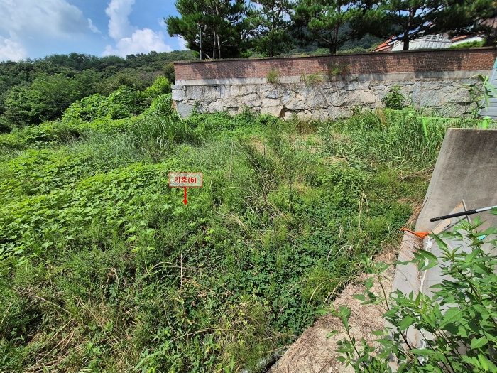 물건 사진 59