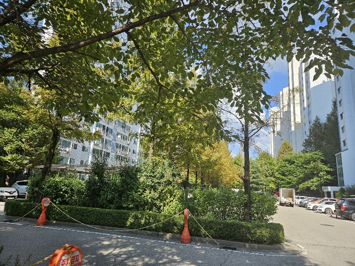 물건 사진 6