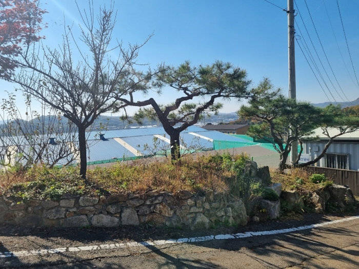 물건 사진 40