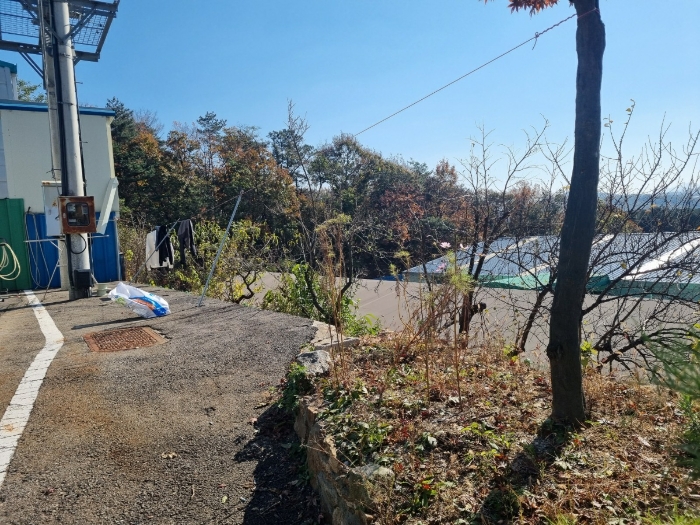 물건 사진 45